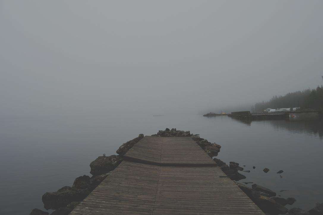 A lakeview of a foggy lake